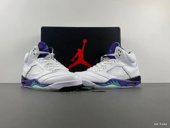 1st Kicks Shoes 136027- Jordan 3989 Air Grape 5 Retro Sleek 1014